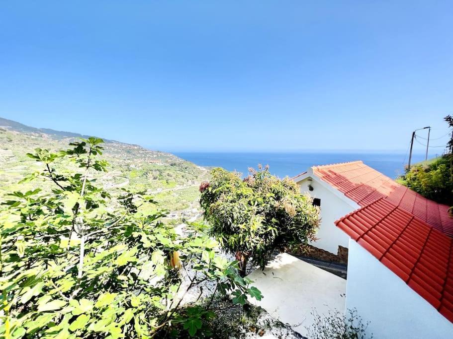 Mar A Vista By Your Madeira Rentals Понта до Сол Екстериор снимка