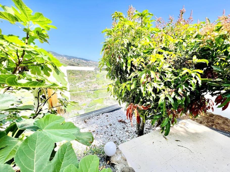 Mar A Vista By Your Madeira Rentals Понта до Сол Екстериор снимка